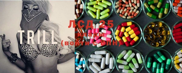 ПСИЛОЦИБИНОВЫЕ ГРИБЫ Алзамай