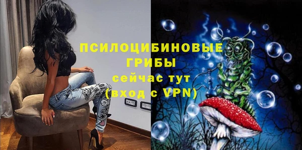 ГАЛЛЮЦИНОГЕННЫЕ ГРИБЫ Алексеевка