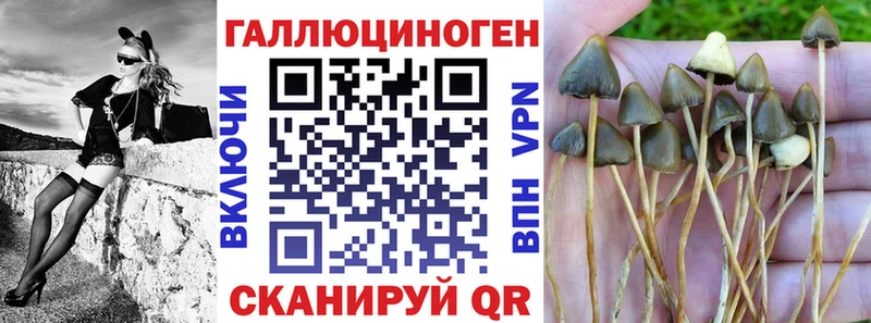 цены Амурск Псилоцибиновые грибы ЛСД